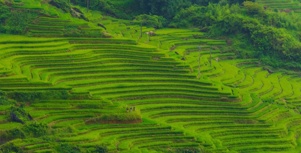 Kho gạo của Nguyễn Thị Mai